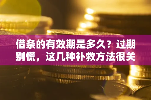 济南借条的有效期是多久?过期别慌,这几种补救方法很关键 济南借条的有效期是多久?过期别慌,这几种补救方法很关键